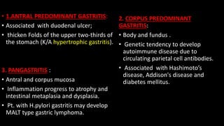 • 1.ANTRAL PREDOMINANT GASTRITIS:
• Associated with duodenal ulcer;
• thicken Folds of the upper two-thirds of
the stomach (K/A hypertrophic gastritis).
3. PANGASTRITIS :
• Antral and corpus mucosa
• Inflammation progress to atrophy and
intestinal metaplasia and dysplasia.
• Pt. with H.pylori gastritis may develop
MALT type gastric lymphoma.
2. CORPUS PREDOMINANT
GASTRITIS:
• Body and fundus .
• Genetic tendency to develop
autoimmune disease due to
circulating parietal cell antibodies.
• Associated with Hashimoto’s
disease, Addison's disease and
diabetes mellitus.
 