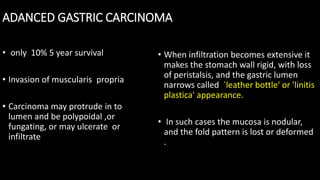 ADANCED GASTRIC CARCINOMA
• only 10% 5 year survival
• Invasion of muscularis propria
• Carcinoma may protrude in to
lumen and be polypoidal ,or
fungating, or may ulcerate or
infiltrate
• When infiltration becomes extensive it
makes the stomach wall rigid, with loss
of peristalsis, and the gastric lumen
narrows called `leather bottle' or 'linitis
plastica' appearance.
• In such cases the mucosa is nodular,
and the fold pattern is lost or deformed
.
 