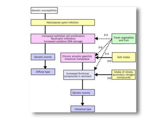 Stomaco e duodeno 2015