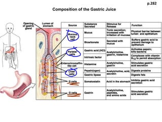 Composition of the Gastric Juice
p.282
 