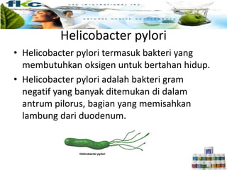 Helicobacter pylori
• Helicobacter pylori termasuk bakteri yang
membutuhkan oksigen untuk bertahan hidup.
• Helicobacter pylori adalah bakteri gram
negatif yang banyak ditemukan di dalam
antrum pilorus, bagian yang memisahkan
lambung dari duodenum.
 
