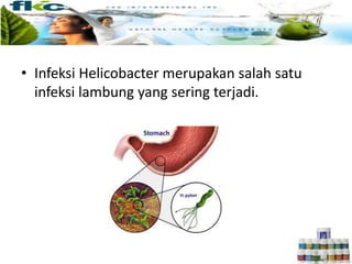 • Infeksi Helicobacter merupakan salah satu
infeksi lambung yang sering terjadi.
 