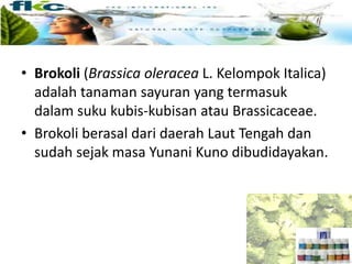 • Brokoli (Brassica oleracea L. Kelompok Italica)
adalah tanaman sayuran yang termasuk
dalam suku kubis-kubisan atau Brassicaceae.
• Brokoli berasal dari daerah Laut Tengah dan
sudah sejak masa Yunani Kuno dibudidayakan.
 