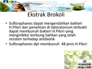 Ekstrak Brokoli
• Sulforaphanes dapat mengendalikan bakteri
H.Pilori dan penelitian di laboratorium terbukti
dapat membunuh bakteri H.Pilori yang
menginfeksi lambung bahkan yang telah
resisten terhadap antibiotik
• Sulforaphanes dpt membunuh 48 jenis H.Pilori
 