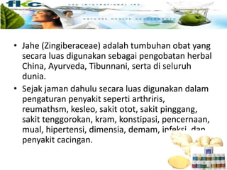 • Jahe (Zingiberaceae) adalah tumbuhan obat yang
secara luas digunakan sebagai pengobatan herbal
China, Ayurveda, Tibunnani, serta di seluruh
dunia.
• Sejak jaman dahulu secara luas digunakan dalam
pengaturan penyakit seperti arthriris,
reumathsm, kesleo, sakit otot, sakit pinggang,
sakit tenggorokan, kram, konstipasi, pencernaan,
mual, hipertensi, dimensia, demam, infeksi, dan
penyakit cacingan.
 