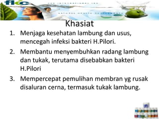 Khasiat
1. Menjaga kesehatan lambung dan usus,
mencegah infeksi bakteri H.Pilori.
2. Membantu menyembuhkan radang lambung
dan tukak, terutama disebabkan bakteri
H.Pilori
3. Mempercepat pemulihan membran yg rusak
disaluran cerna, termasuk tukak lambung.
 