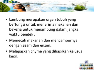 • Lambung merupakan organ tubuh yang
berfungsi untuk menerima makanan dan
bekerja untuk menampung dalam jangka
waktu pendek .
• Memecah makanan dan mencampurnya
dengan asam dan enzim.
• Melepaskan chyme yang dihasilkan ke usus
kecil.
 