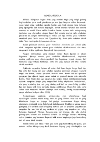 PENDAHULUAN 
Stomata merupakan bagian daun yang memiliki fungsi yang sangat penting 
bagi tumbuhan yakni untuk pertukaran gas dan juga berperan dalam fotosintesis. 
Akan tetapi setiap tumbuhan memiliki bentuk serta letak stomata yang berlainan 
yang dipengaruhi oleh kondisi lingkungan, habitat tanaman tersebut dan anatomi 
tanaman itu sendiri. Untuk melihat keunikan bentuk stomata pada masing-masing 
tumbuhan yang disesuaikan dengan fungsi dari stomata tersebut maka dilakukan 
praktikum ini dengan membandingkan bentuk dan tipe stomata pada tumbuhan 
monokotil yaitu Oryza sativa dan Nymphaea Sp. Serta pada tumbuhan dikotil 
yaitu Ficus elastica dan Arthocarpus integra. 
Tujuan praktikum Stomata pada Tumbuhan Monokotil dan Dikotil yaitu 
untuk mengamati tipe-tipe stomata pada tumbuhan dikotil-monokotil dan untuk 
mengamati struktur epidermis daun dikotil dan monokotil. 
Adapun permasalahan yang diangkat penulis dalam laporan ini adalah 
bagaimana tipe-tipe stomata pada tumbuhan dikotil-monokotil, bagaimana 
struktur epidermis daun dikotil-monokotil dan bagaimana bentuk stomata dari 
tumbuhan yang berbeda habitatnya. Serta apa yang menjadi cirri khas stomata 
dikotil-monokotil. 
Epidermis merupakan lapisan sel terluar dari daun, bagian bunga, buah dan 
biji, serta dari batang dan akar sebelum menjalani penebalan sekunder. Menurut 
fungsi dan bentuk, sel-sel epidermis tidaklah sama. Selain dari sel epidermis 
yangumum, juga dijumpai banyak macam rambut, sel pengawal stomata, serta selspesifik 
lainnya. Akan tetapi dari segi topografi dan sampai tingkat tertentu secaraontogeni, 
epidermis merupakan jaringan yang seragam.Tebal dinding selepidermis berbeda-beda, 
ada yang berdinding tipis, ada yang dinding periklinal luar atau dinding periklinal 
luar dan dalam lebih tebal daripada dinding antiklinalnya. Dalam biji, sisik, serta 
dalam daun tumbuhan tertentu (misalnya daun konifer), dinding sel epidermisnya 
sangat tebal dan berlignin (Fan, 1991). 
Kesinambungan epidermis terputus-putus oleh lubang-lubang kecil 
sekali.Bagian tersebut adalah ruang antar sel yang dibatasi oleh dua sel yang 
khasdisebut dengan sel penjaga. Sel penjaga bersama-sama dengan lubang 
di antaranya membentuk stoma. Pada banyak tumbuhan dapat dibedakan sel tetangga atau sel 
pelengkap. Sel tersebut secara morgologi berbeda dari sel epidermis yang khas dan 
merupakan dua atau lebih sel yang membatasi sel penjaga, yang tampaknya ada saling 
hubungan fungsional. Stomata bersama-sama sel tetangga jika ada disebut 
perlengkapan stomata atau kompleks stomata. Sel tetangga biasanya berkembang 
dari sel protoderm yang berbatasan dengan sel induk stomata, tetapi dapat juga berkembang 
dari sel seasal induk stomata. 
Stomata berasal dari bahasa Yunani yaitu stoma yang berarti lubang atau porus, jadi 
stomata adalah lubang-lubang kecil berbentuk lonjong yang dikelilingioleh dua 
 