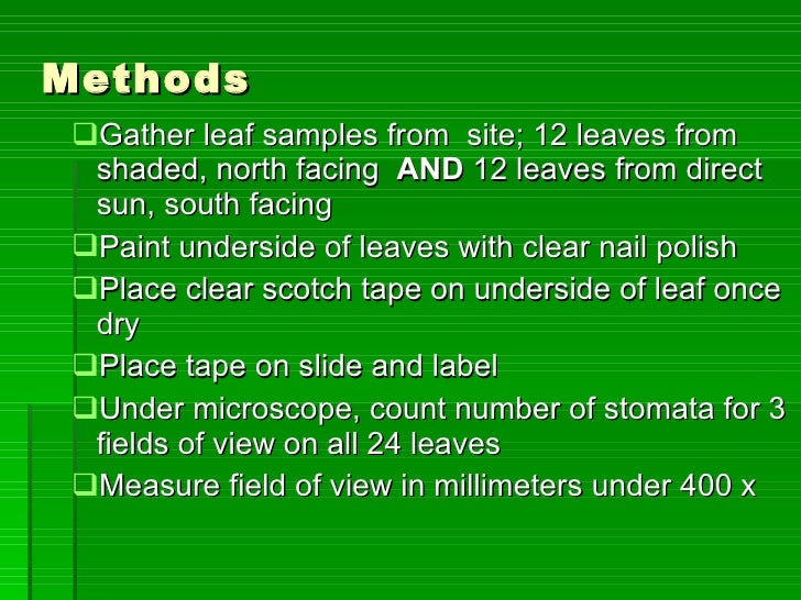 stomata density In botany, a stoma (plural stomata), also called a stomata (plural stomates) ( from greek stomatal density and aperture (length of stomata) varies under a number of environmental factors such as atmospheric co2 concentration, light. stomata density In botany, a stoma (plural stomata), also called a stomata (plural stomates) ( from greek stomatal density and aperture (length of stomata) varies under a number of environmental factors such as atmospheric co2 concentration, light.