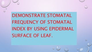 DEMONSTRATE STOMATAL
FREQUENCY OF STOMATAL
INDEX BY USING EPIDERMAL
SURFACE OF LEAF.
 