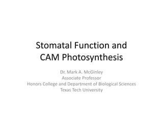Stomatal Function and
     CAM Photosynthesis
                Dr. Mark A. McGinley
                 Associate Professor
Honors College and Department of Biological Sciences
                Texas Tech University
 