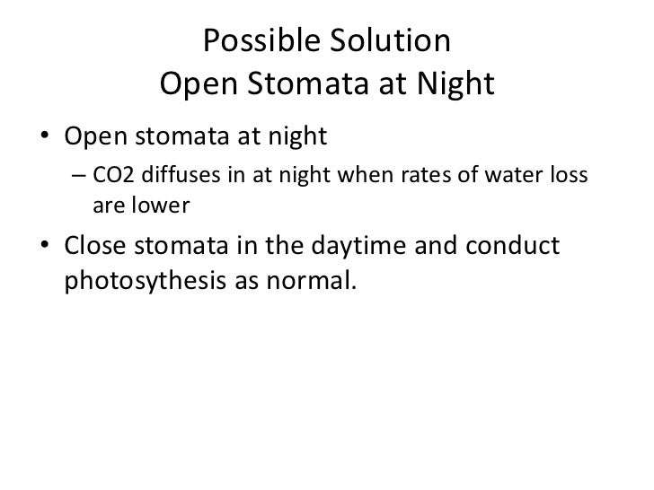 Stomatal function and cam photosynthesis