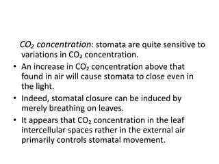 CO₂ concentration: stomata are quite sensitive to
variations in CO₂ concentration.
• An increase in CO₂ concentration above that
found in air will cause stomata to close even in
the light.
• Indeed, stomatal closure can be induced by
merely breathing on leaves.
• It appears that CO₂ concentration in the leaf
intercellular spaces rather in the external air
primarily controls stomatal movement.
 