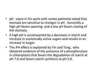 • pH : sayre in his work with rumex patientia noted that
stomata are sensitive to changes in pH . Generally a
high pH favors opening and a low pH favors closing of
the stomata.
• A high pH is accompanied by a decrease in starch and
increase in osmotically active sugars and results in an
increase in turgor.
• This PH effect is explained by Yin and Tung , who
obtained evidence of the presence of a phosphorylase
in chloroplasts that favors the degradation of starch at
pH 7.0 and favors starch synthesis at pH 5.0.
 
