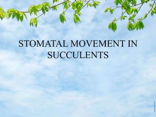 STOMATAL MOVEMENT IN
SUCCULENTS
 