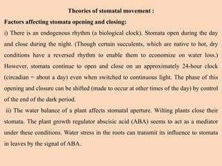 Theories of stomatal movement :
Factors affecting stomata opening and closing:
i) There is an endogenous rhythm (a biological clock). Stomata open during the day
and close during the night. (Though certain succulents, which are native to hot, dry
conditions have a reversed rhythm to enable them to economize on water loss.)
However, stomata continue to open and close on an approximately 24-hour clock
(circadian = about a day) even when switched to continuous light. The phase of this
opening and closure can be shifted (made to occur at other times of the day) by control
of the end of the dark period.
ii) The water balance of a plant affects stomatal aperture. Wilting plants close their
stomata. The plant growth regulator abscisic acid (ABA) seems to act as a mediator
under these conditions. Water stress in the roots can transmit its influence to stomata
in leaves by the signal of ABA.
 
