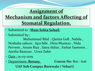 Assignment of
Mechanism and factors Affecting of
Stomatal Regulation.
 Submitted to : Mam Sobia Sohail.
 Submitted by:
Muhammad Bilal , Qanita Gull , Nabila ,
Noshaba zahoor , Iqra bibi , Hina Mumtaz , Nida
Perveen , Anum Riaz , Saira Akbar , Farhat Yasmeen ,
Ayesha Ramzan , Urwa Zahir
 Date : 15-03-2019
 Department :Botany. Course No: Bot - 606
UAF Sub Campus Burewala ( Vehari)
 