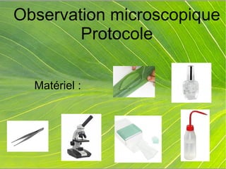 Observation microscopique
Protocole
Matériel :
 