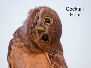 Cocktail  Hour 