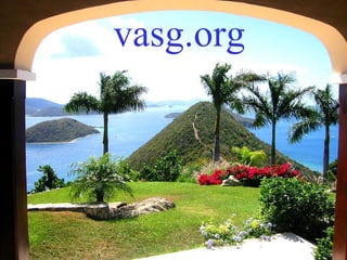 vasg.org 