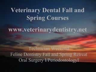 Technician Weekend Feline Dentistry Fall and Spring Retreat Oral Surgery I/PeriodontologyI Veterinary Dental Fall and Spring Courses www.veterinarydentistry.net 
