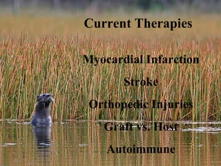 Current Therapies Myocardial Infarction Stroke Orthopedic Injuries Graft vs. Host Autoimmune 