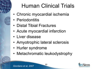 Human Clinical Trials Chronic myocardial ischemia  Periodontitis Distal Tibial Fractures Acute myocardial infarction  Liver disease Amyotrophic lateral sclerosis Hurler syndrome  Metachromatic leukodystrophy  Giordano et al, 2007 