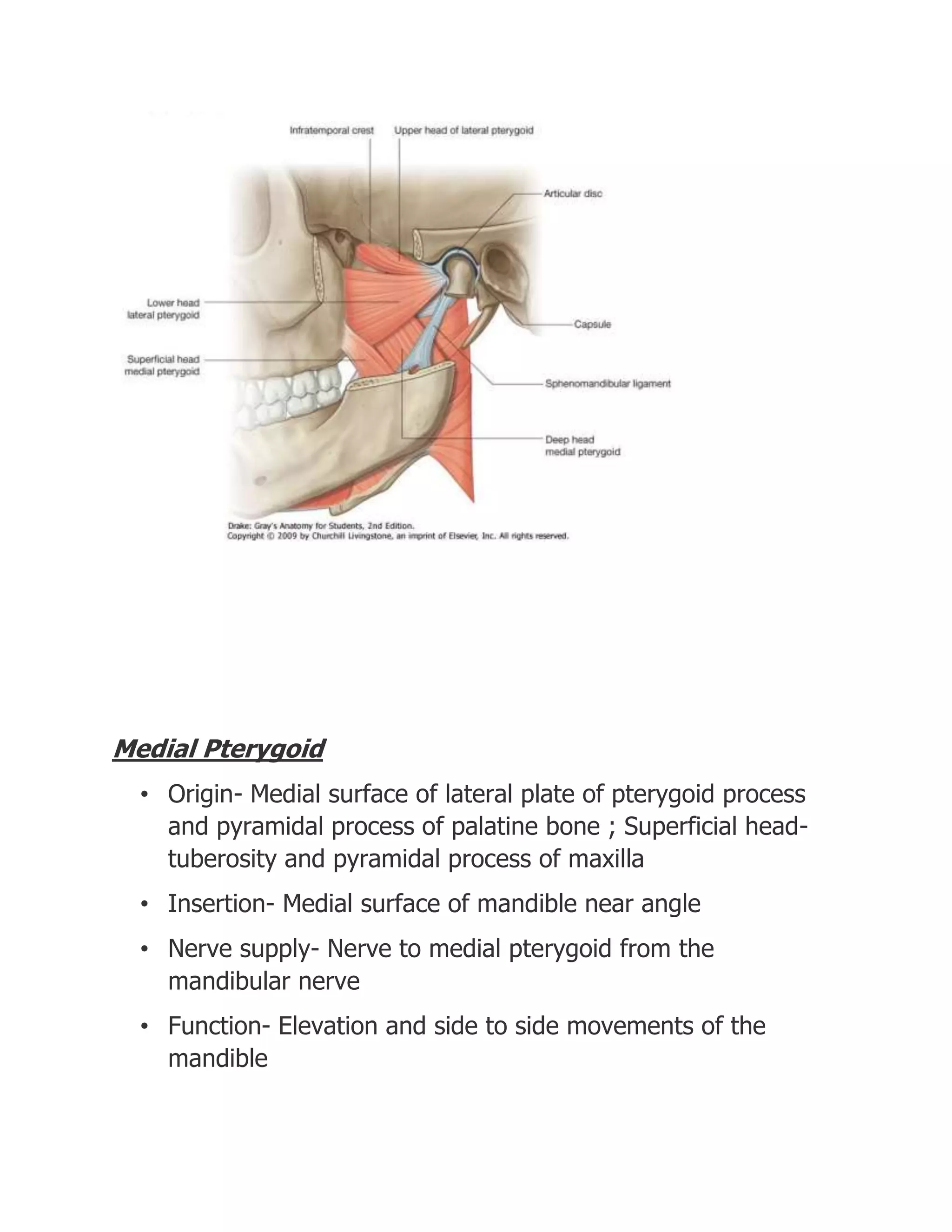 Stomatognathic system | DOCX