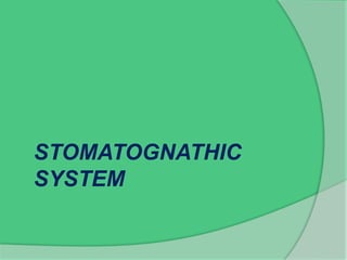 STOMATOGNATHIC
SYSTEM
 