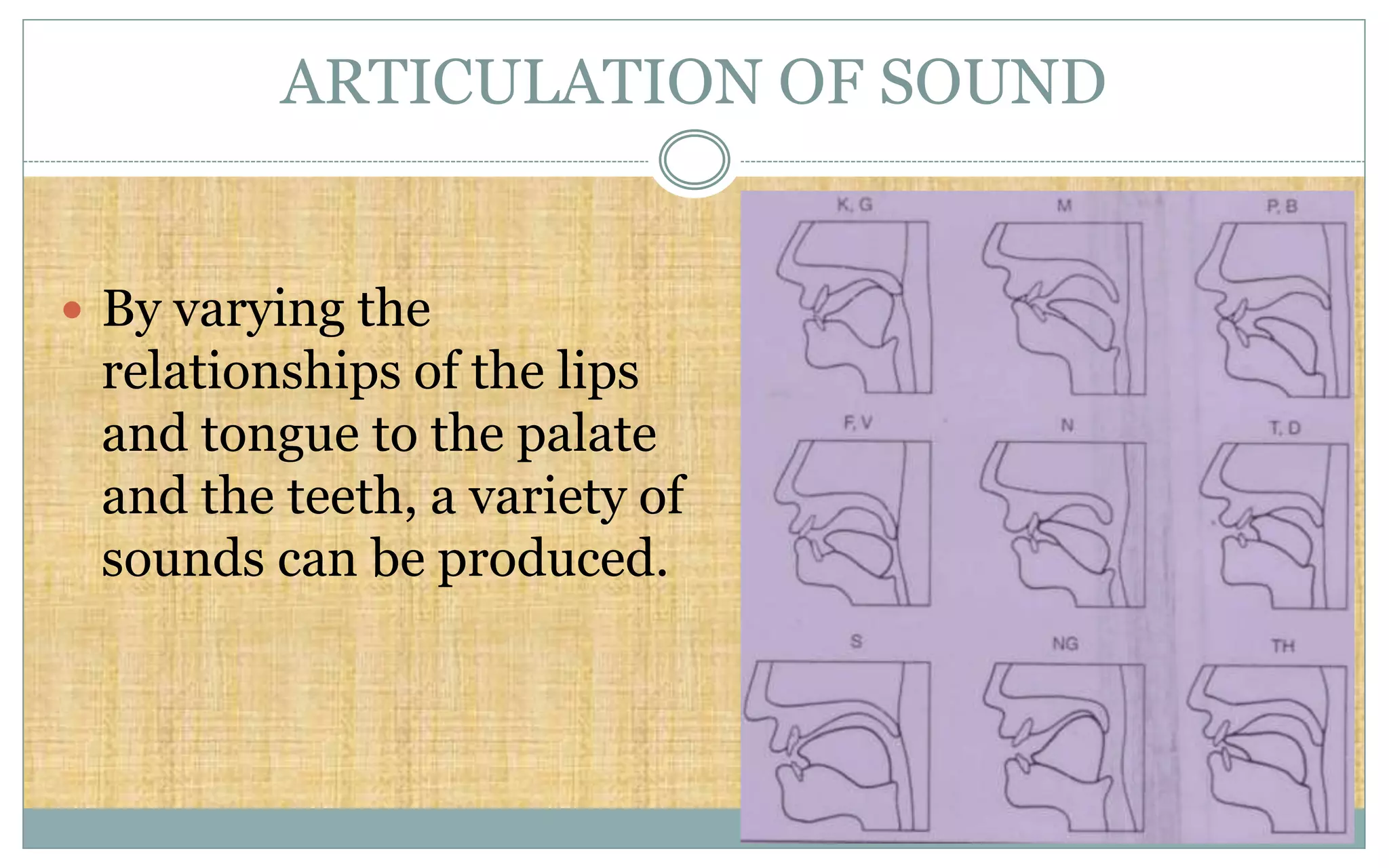 ARTICULATION OF SOUND
 By varying the
relationships of the lips
and tongue to the palate
and the teeth, a variety of
sounds can be produced.
 