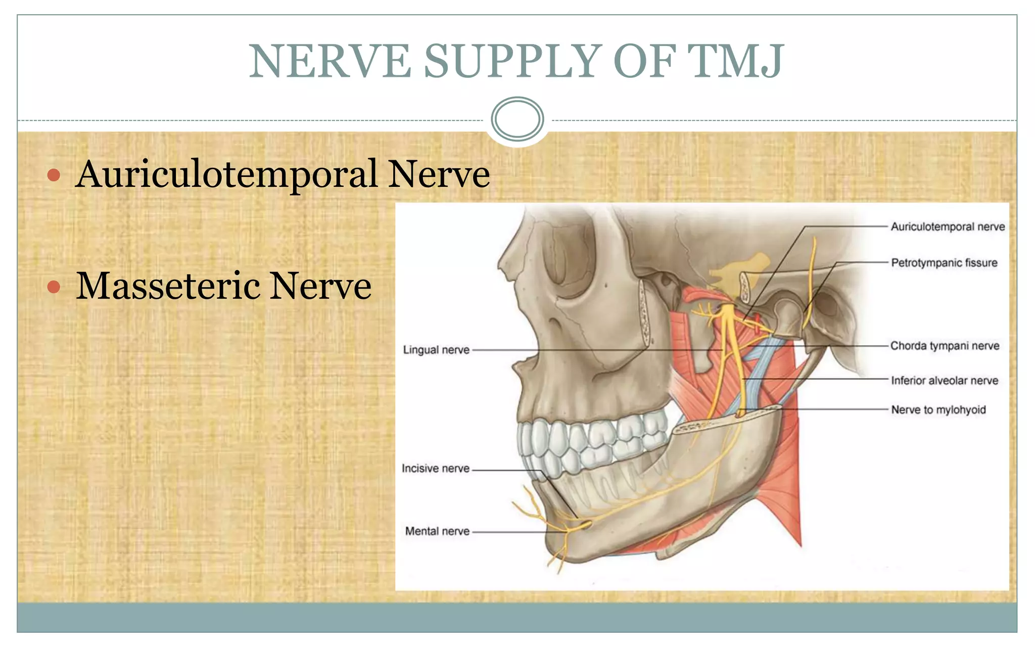 NERVE SUPPLY OF TMJ
 Auriculotemporal Nerve
 Masseteric Nerve
 