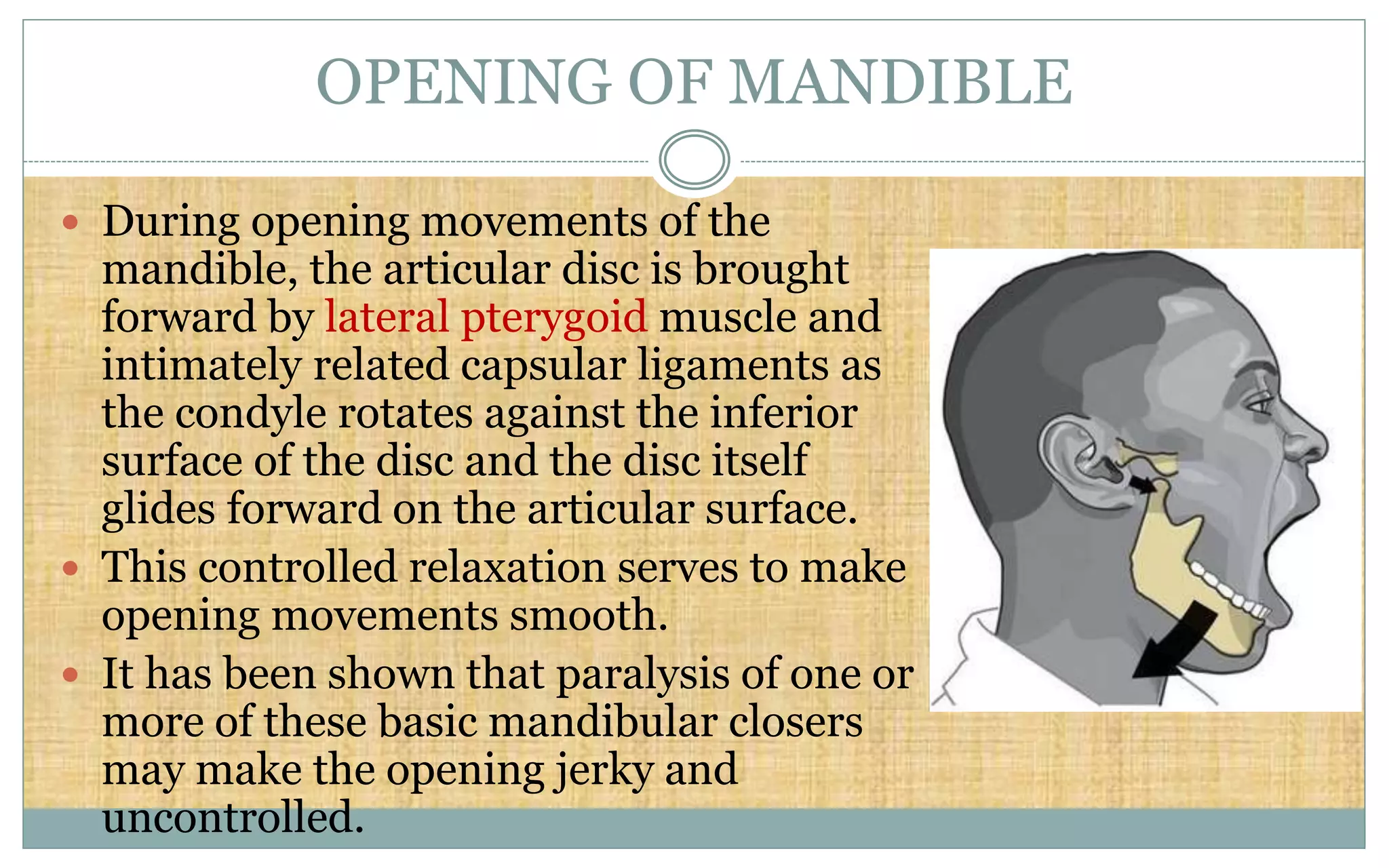 OPENING OF MANDIBLE
 During opening movements of the
mandible, the articular disc is brought
forward by lateral pterygoid muscle and
intimately related capsular ligaments as
the condyle rotates against the inferior
surface of the disc and the disc itself
glides forward on the articular surface.
 This controlled relaxation serves to make
opening movements smooth.
 It has been shown that paralysis of one or
more of these basic mandibular closers
may make the opening jerky and
uncontrolled.
 