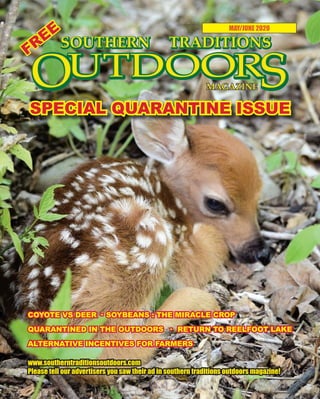 1 SOUTHERN TRADITIONS OUTDOORS | MAY - JUNE 2020
MAY/JUNE 2020
www.southerntraditionsoutdoors.com
Please tell our advertisers you saw their ad in southern traditions outdoors magazine!
FREE
COYOTE VS DEER · SOYBEANS : THE MIRACLE CROP
QUARANTINED IN THE OUTDOORS · RETURN TO REELFOOT LAKE
ALTERNATIVE INCENTIVES FOR FARMERS
SPECIAL QUARANTINE ISSUE
 