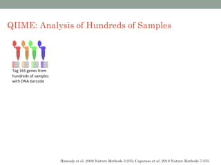 QIIME: Analysis of Hundreds of Samples




            Hamady et al. 2008 Nature Methods 5:235; Caporaso et al. 2010 Nature Methods 7:335
 