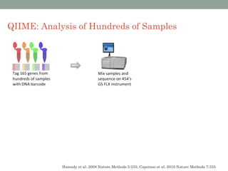 QIIME: Analysis of Hundreds of Samples




            Hamady et al. 2008 Nature Methods 5:235; Caporaso et al. 2010 Nature Methods 7:335
 