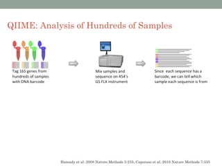 QIIME: Analysis of Hundreds of Samples




            Hamady et al. 2008 Nature Methods 5:235; Caporaso et al. 2010 Nature Methods 7:335
 