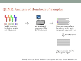 QIIME: Analysis of Hundreds of Samples




            Hamady et al. 2008 Nature Methods 5:235; Caporaso et al. 2010 Nature Methods 7:335
 