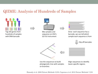 QIIME: Analysis of Hundreds of Samples




            Hamady et al. 2008 Nature Methods 5:235; Caporaso et al. 2010 Nature Methods 7:335
 