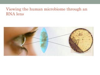 Viewing the human microbiome through an
RNA lens
 