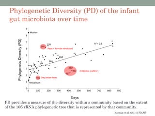 Phylogenetic Diversity (PD) of the infant
  gut microbiota over time



                         Peas + formula introduced




                                                     Antibiotics (cefdinir)


                   Day before fever




PD provides a measure of the diversity within a community based on the extent
of the 16S rRNA phylogenetic tree that is represented by that community.
                                                                              Koenig et al. (2010) PNAS
 