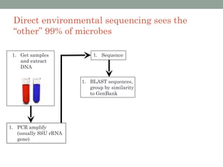 Direct environmental sequencing sees the
 “other” 99% of microbes

 1. Get samples            1. Sequence
    and extract
    DNA

                       1. BLAST sequences,
                          group by similarity
                          to GenBank




1. PCR amplify
   (usually SSU rRNA
   gene)
 