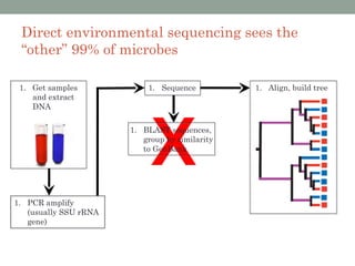 Direct environmental sequencing sees the
 “other” 99% of microbes

 1. Get samples            1. Sequence          1. Align, build tree
    and extract
    DNA




                            X
                       1. BLAST sequences,
                          group by similarity
                          to GenBank




1. PCR amplify
   (usually SSU rRNA
   gene)
 