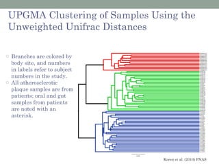 UPGMA Clustering of Samples Using the
Unweighted Unifrac Distances

o Branches are colored by
  body site, and numbers
  in labels refer to subject
  numbers in the study.
o All atherosclerotic
  plaque samples are from
  patients; oral and gut
  samples from patients
  are noted with an
  asterisk.




                               Koren et al. (2010) PNAS
 