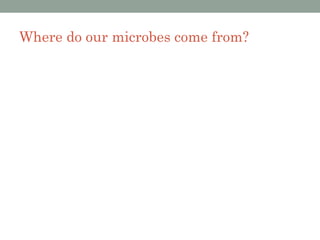 Where do our microbes come from?
 