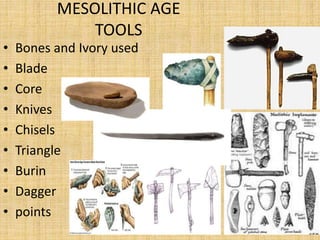 MESOLITHIC AGE
TOOLS
• Bones and Ivory used
• Blade
• Core
• Knives
• Chisels
• Triangle
• Burin
• Dagger
• points
 