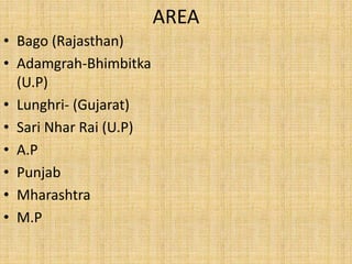 AREA
• Bago (Rajasthan)
• Adamgrah-Bhimbitka
(U.P)
• Lunghri- (Gujarat)
• Sari Nhar Rai (U.P)
• A.P
• Punjab
• Mharashtra
• M.P
 