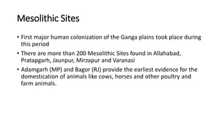 Mesolithic Sites
• First major human colonization of the Ganga plains took place during
this period
• There are more than 200 Mesolithic Sites found in Allahabad,
Pratapgarh, Jaunpur, Mirzapur and Varanasi
• Adamgarh (MP) and Bagor (RJ) provide the earliest evidence for the
domestication of animals like cows, horses and other poultry and
farm animals.
 
