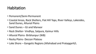 Habitation
• Pemanent/Semi-Permanent
• Coastal Areas, Rock Shelters, Flat Hill Tops, River Valleys, Lakesides,
Sand Dunes, Alluvial Plains
• Sand Dunes – GJ and Marwar
• Rock Shelter- Vindhya, Satpura, Kaimur Hills
• Alluvial Plains- Birbhanpur (WB)
• Rocky Plains- Deccan Plateau
• Lake Shore – Gangetic Regions (Allahabad and Pratapgarh)
 