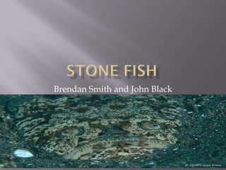 Brendan Smith and John Black
 