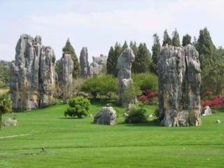 Stone forest in yunnan, china (v.m.)
